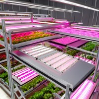 Joystar 1000w Led Indoor Plant Grow Light High Power Full Spectrum With White & Green Emission Ip54 Rating For Bloom Application