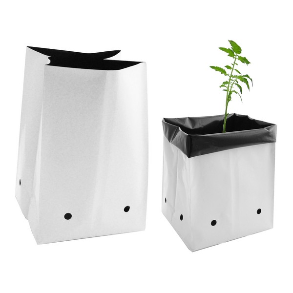 5 Gallon Poly Plant 